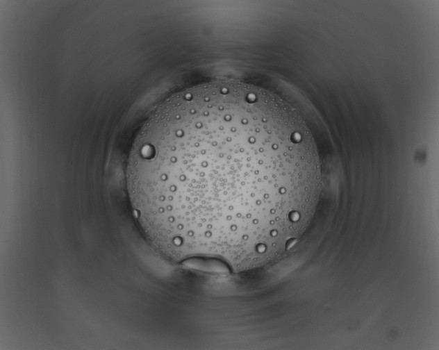 X0000093090573200710101519