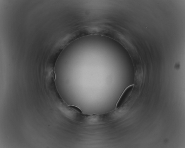 X0000093090574200710101519