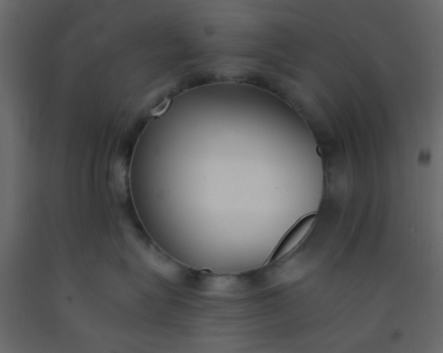 X0000093090575200710101519