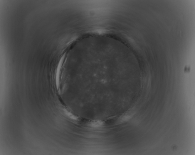 X0000093090576200710101519