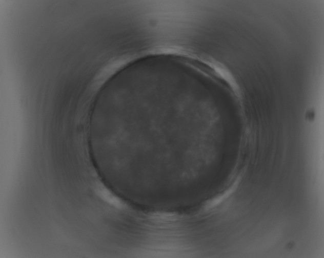 X0000093090577200710101519