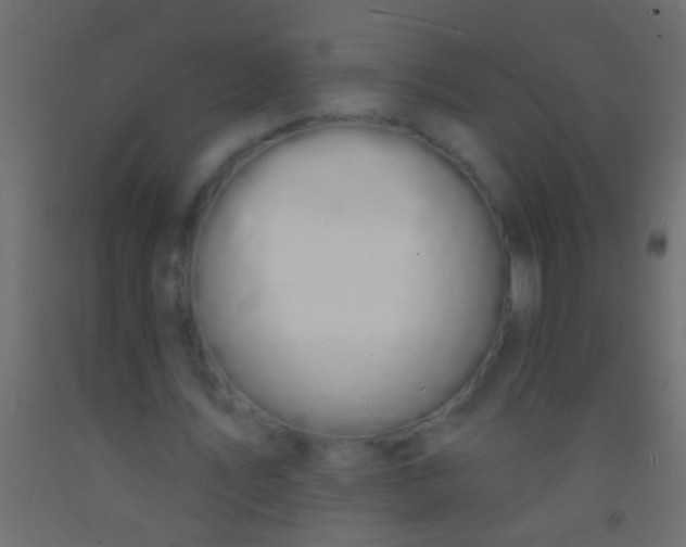 X0000093090579200710101519