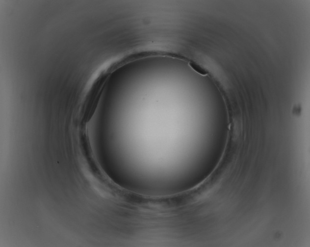 X0000093090580200710101519