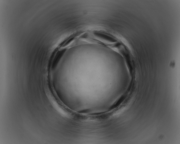 X0000093090581200710101519