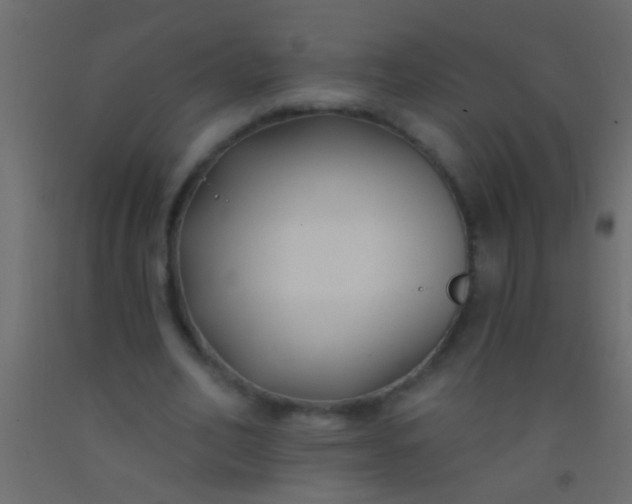 X0000093090582200710101519