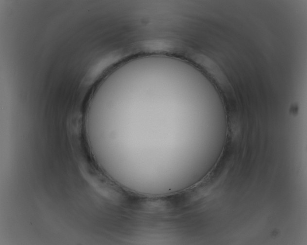 X0000093090583200710101519