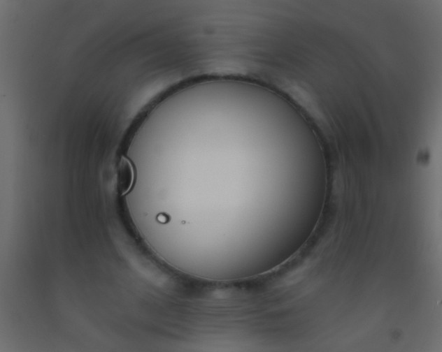 X0000093090584200710101519