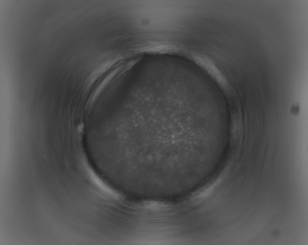 X0000093090585200710101519