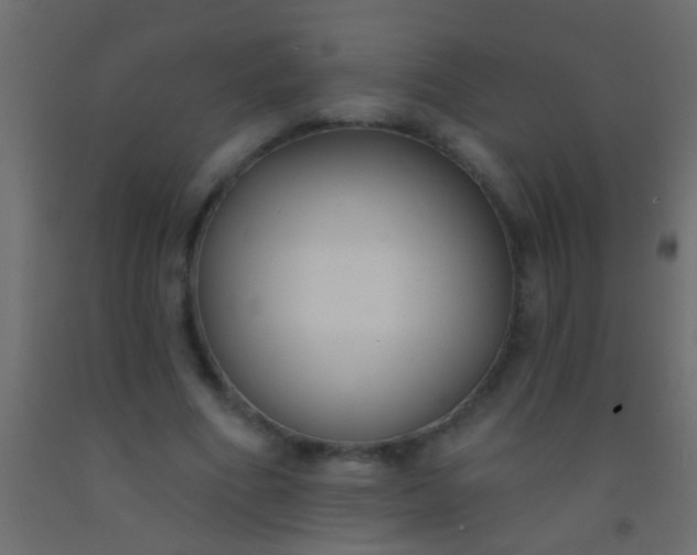 X0000093090586200710101519