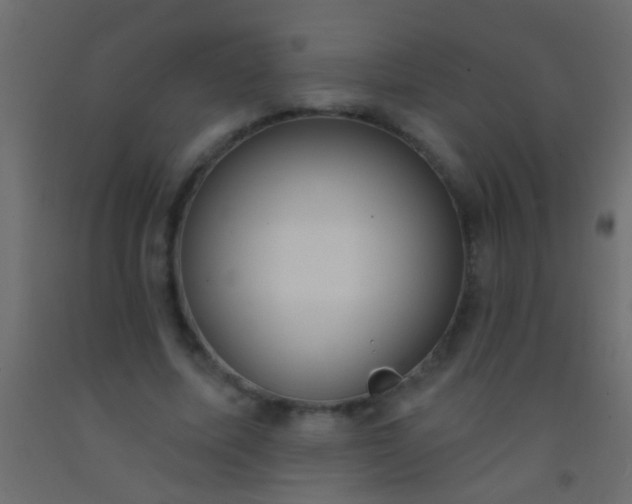 X0000093090587200710101519