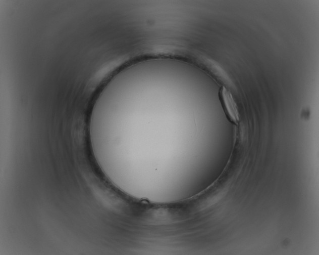 X0000093090588200710101519