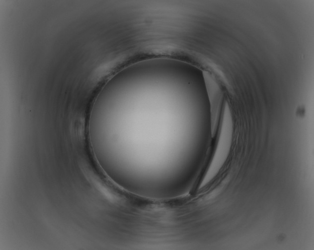 X0000093090589200710101519