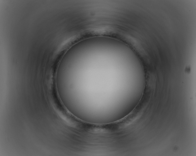 X0000093090590200710101519