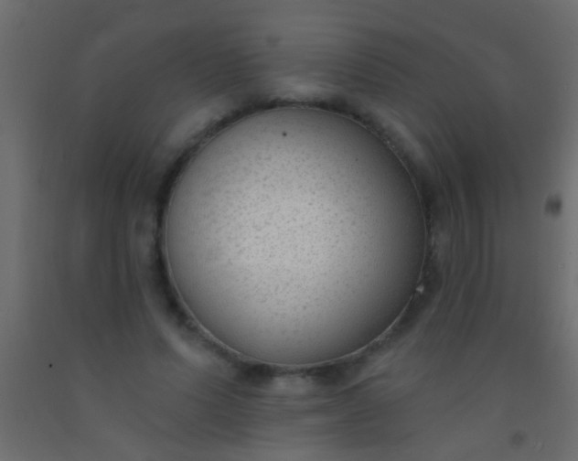 X0000093090591200710101519