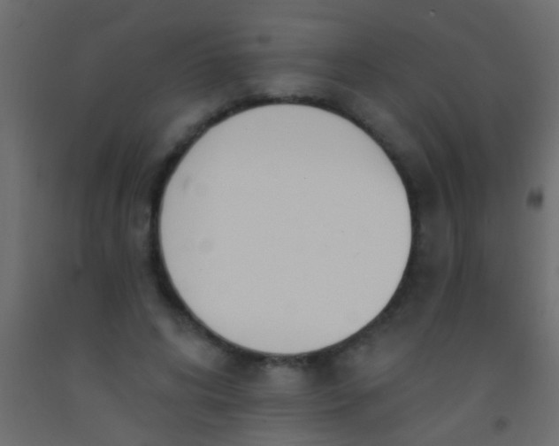 X0000093090592200710101519