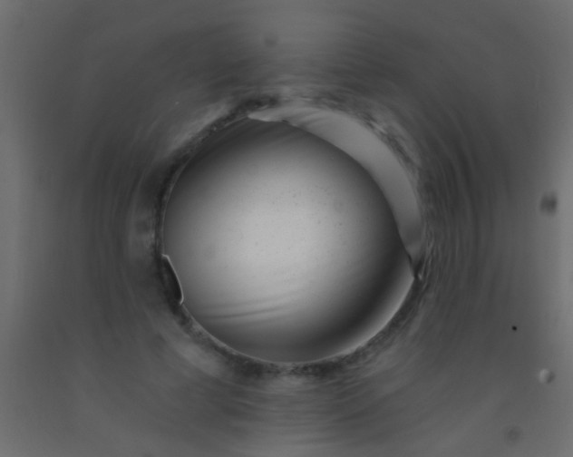 X0000093090593200710101518