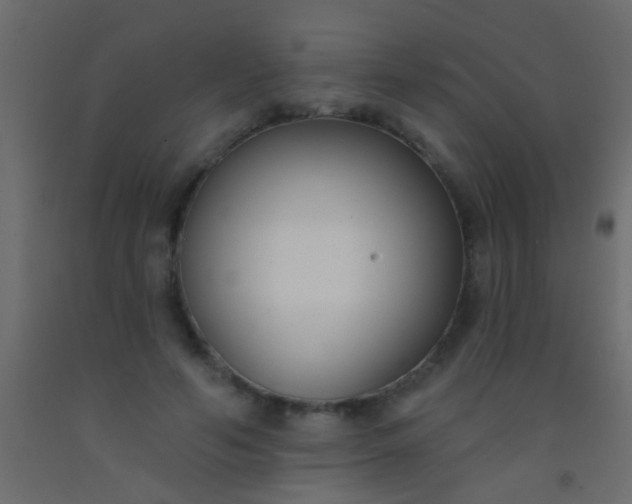 X0000093090594200710101518