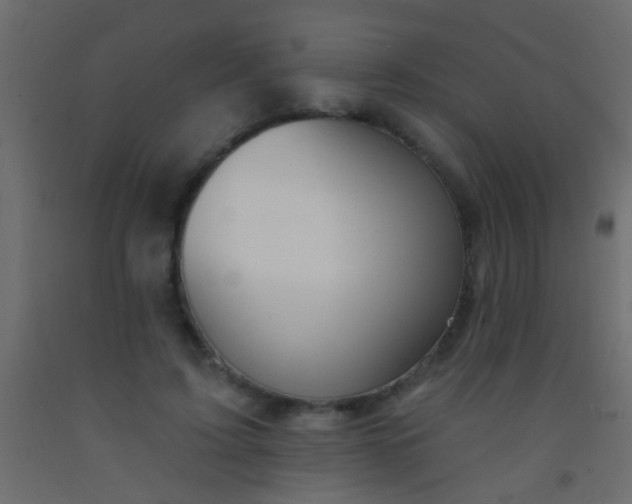 X0000093090595200710101518