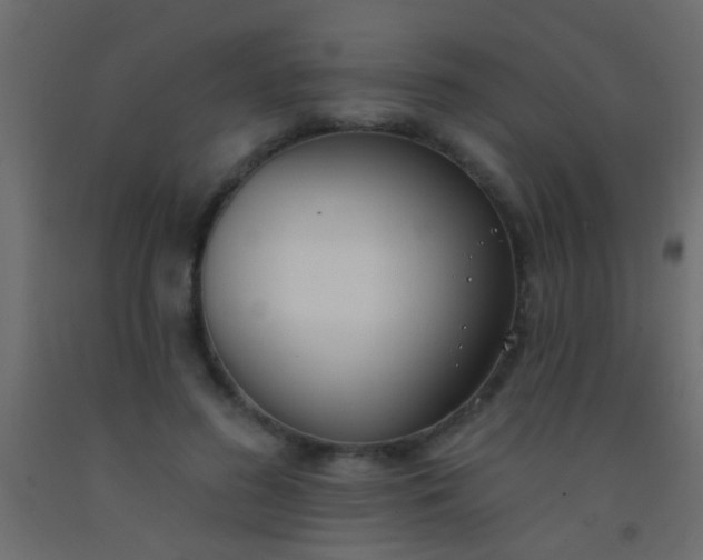 X0000093090596200710101518