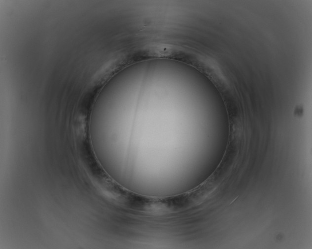 X0000093090598200710101518