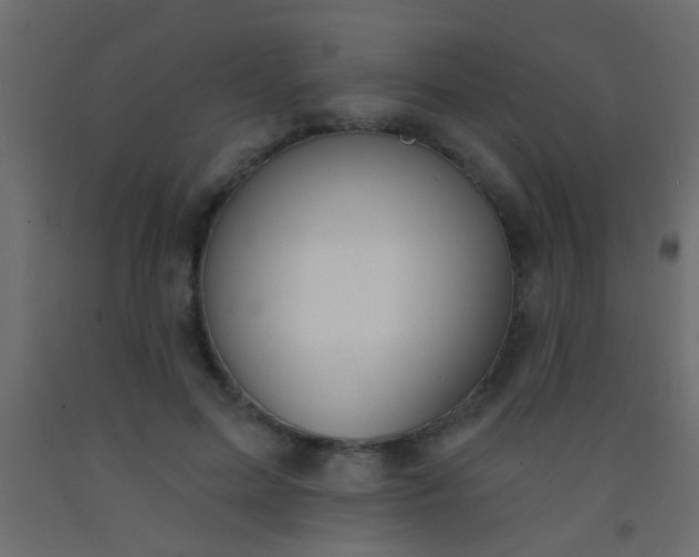 X0000093090599200710101518