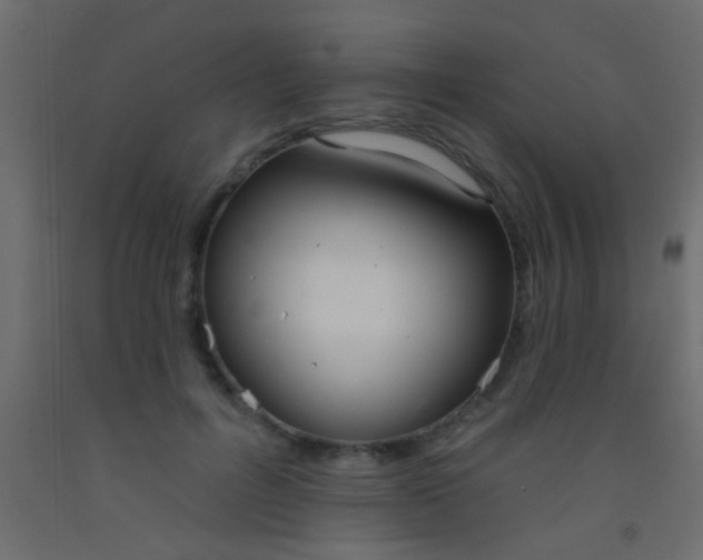 X0000093090600200710101518