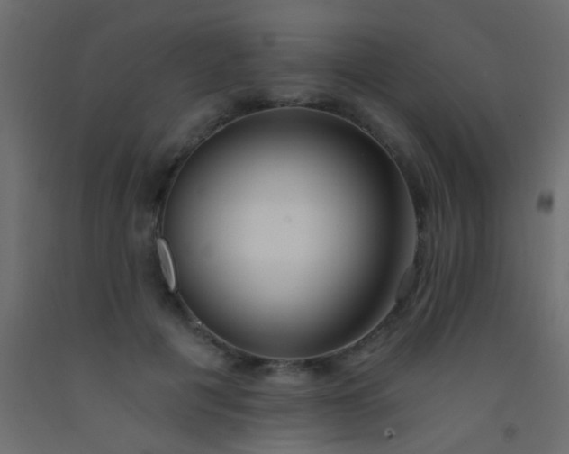 X0000093090601200710101518