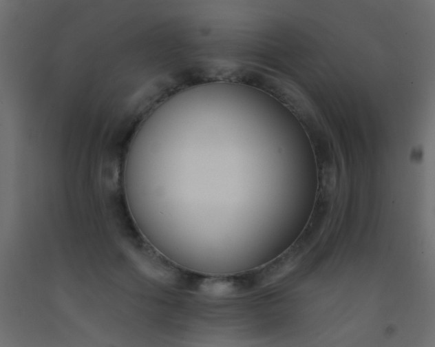 X0000093090602200710101518