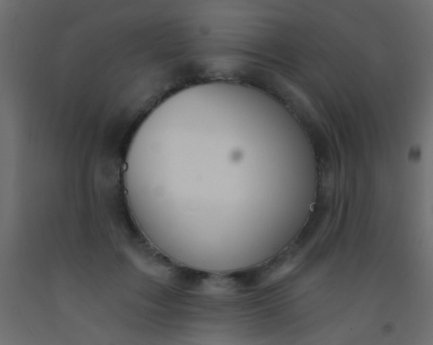 X0000093090603200710101518