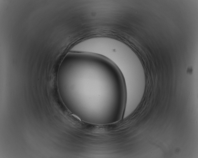 X0000093090604200710101518