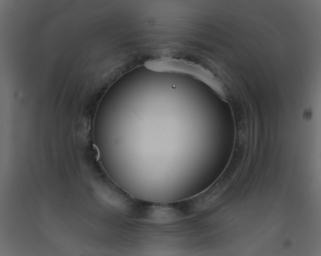 X0000093090605200710101518