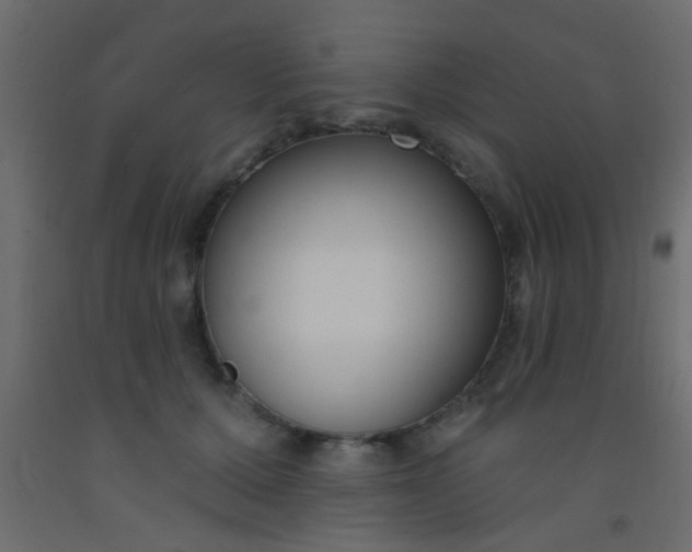 X0000093090607200710101518