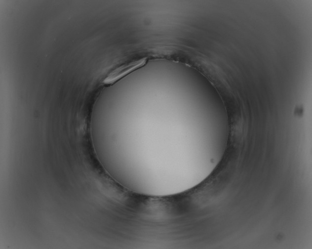 X0000093090608200710101518