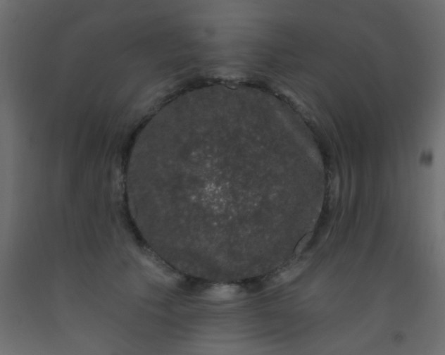 X0000093090609200710101518