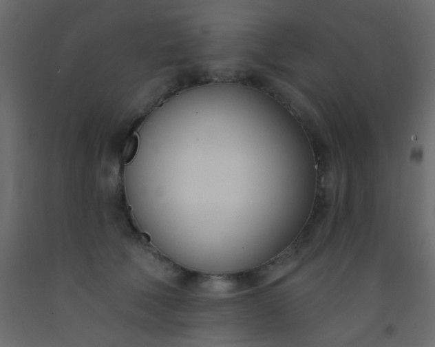 X0000093090610200710101518