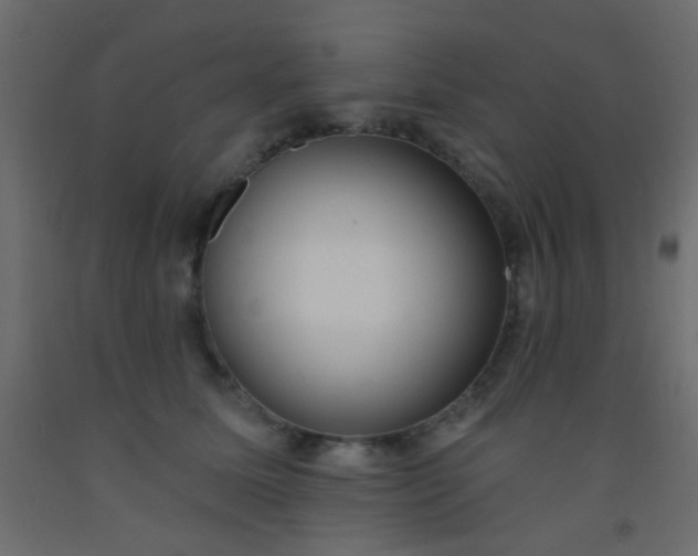 X0000093090611200710101518