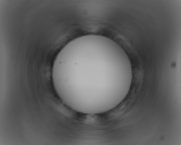 X0000093090612200710101518