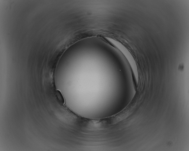 X0000093090613200710101518