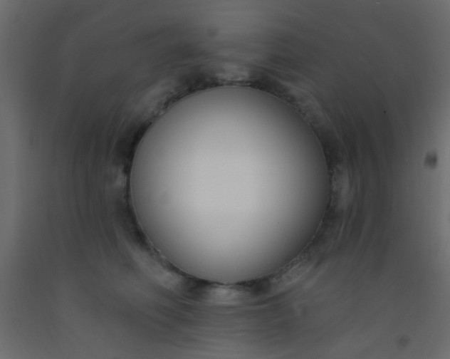 X0000093090614200710101518