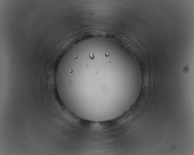 X0000093090616200710101518