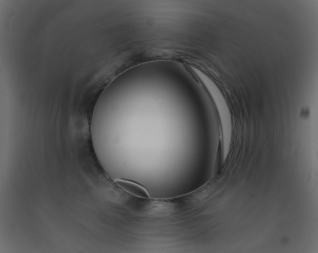 X0000093090617200710101518