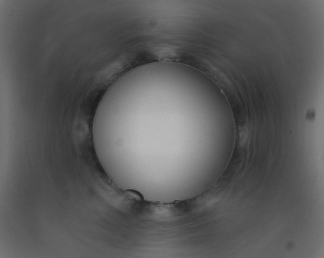 X0000093090618200710101518