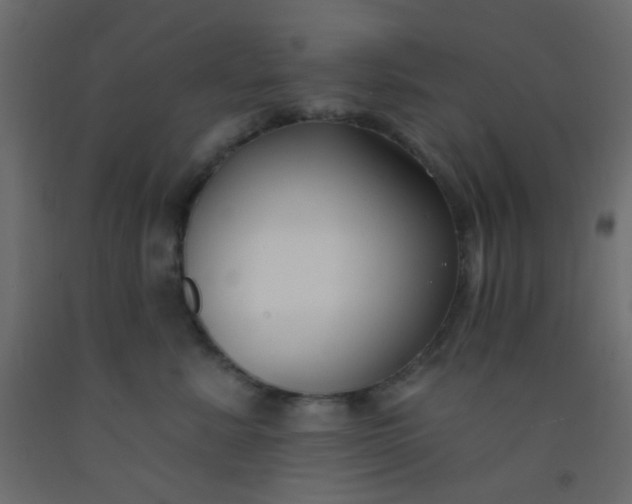 X0000093090619200710101518