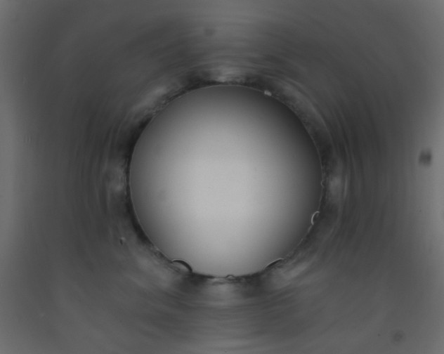 X0000093090620200710101518