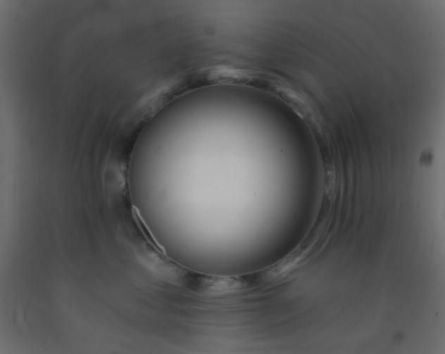 X0000093090621200710101518