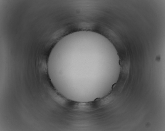 X0000093090622200710101518