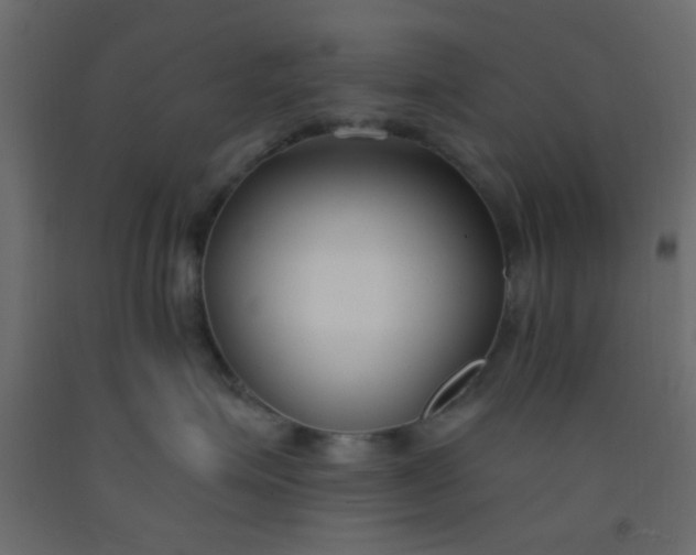 X0000093090623200710101518