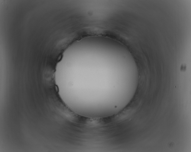 X0000093090624200710101518