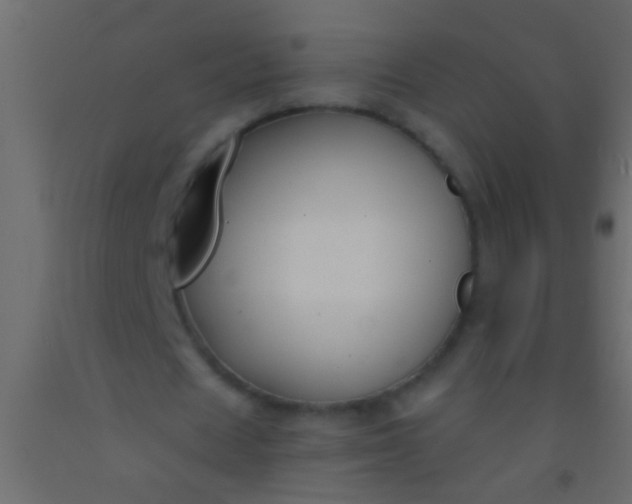 X0000093090625200710101518