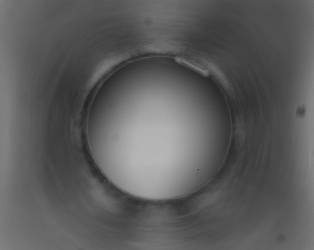 X0000093090626200710101518